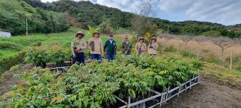 Westfalia Fruit: Helping the Climate and Colombian Biodiversity with a Unique Reforestation Project