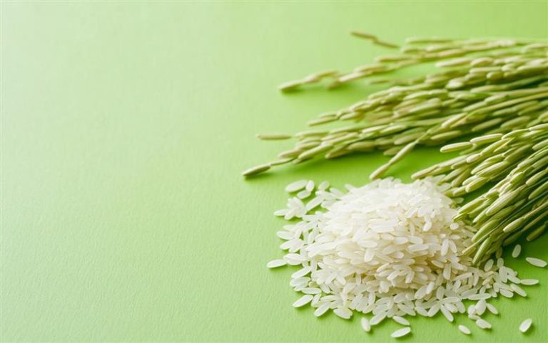 Rice Bran Wax: A Sustainable And Superior Alternative To Montan Wax