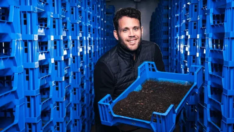 Letting Flies Fight Food Waste: A Sustainable Solution Gaining Ground