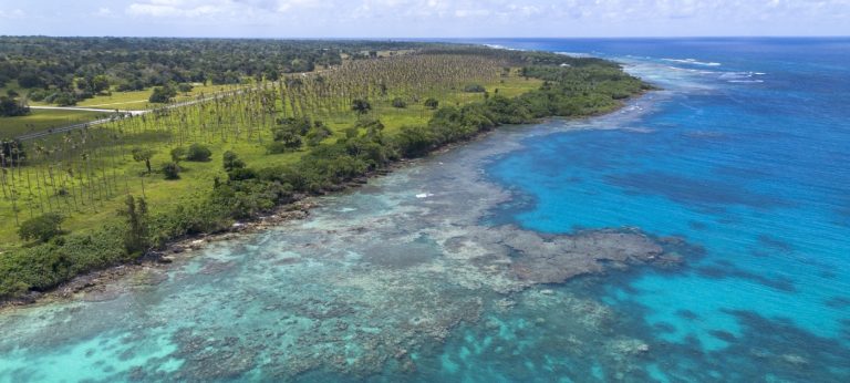 UNEP’s 2025 Champions Of The Earth Award Recognizes Five Climate Trailblazers